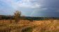 10584:14 - Cheap property for sale in Bulgaria, near Popovo