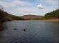 10584:16 - Cheap property for sale in Bulgaria, near Popovo