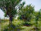 11934:3 - Cheap rural seaside house near Sredets – great surroundings