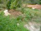 11937:16 - Solid maintained house in Malko Turnovo – wondrous views