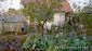 11945:3 - Cheap house with lovely garden and nice surroundings - Bourgas