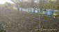 11945:6 - Cheap house with lovely garden and nice surroundings - Bourgas