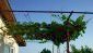 11949:8 - Lovely sunny and well disposed seaside house near Burgas