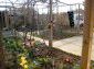 11954:4 - Outstanding elegant furnished seaside house near Sungurlare