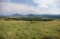 10936:5 - Cheap agricultural land for sale in Berkovitsa, Montana region