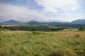 10936:6 - Cheap agricultural land for sale in Berkovitsa, Montana region