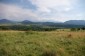 10936:7 - Cheap agricultural land for sale in Berkovitsa, Montana region