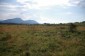 10936:10 - Cheap agricultural land for sale in Berkovitsa, Montana region