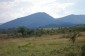 10936:17 - Cheap agricultural land for sale in Berkovitsa, Montana region