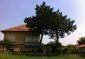 11977:2 - Very cheap house with lovely huge garden near Krivodol