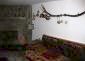 12018:7 - Nice furnished seaside house at the foot of Strandzha Mountain