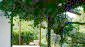 12062:6 - Beautiful renovated house with furniture - Kameno