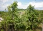 12105:14 - Well kept rural house with mountain view near Vratsa