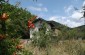 12128:3 - Beautiful rural house with garden and lovely view near Vratsa