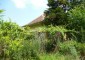 12134:4 - Sunny house with garden in riverside area near Vratsa