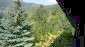 12183:5 - Incredibly cozy home surrounded by pine forest in Sofia District