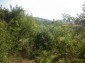 12184:19 - Cheap functional house near Vratsa – fantastic surroundings