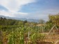 12237:17 - Charming Bulgarian house near Vratsa with wonderful scenery