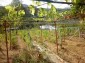 12237:18 - Charming Bulgarian house near Vratsa with wonderful scenery