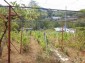 12237:19 - Charming Bulgarian house near Vratsa with wonderful scenery