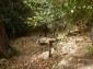 12237:21 - Charming Bulgarian house near Vratsa with wonderful scenery