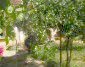 12266:13 - Old well kept rural house near Vratsa – big garden