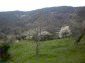 12297:18 - Property near Pamporovo with splendid mountain views