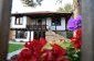 12383:1 - Lovely traditional Bulgarian house near fishing lakes, Gabrovo