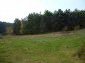 12480:18 - Bulgarian house near forest and river-Mezdra, Vratsa, Bulgaria