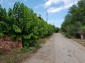 12766:47 - Cozy Bulgarian house for sale between Plovdiv & Stara Zagora