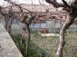 12715:41 - Cheap Bulgarian property for sale garden 2000sq.m Targovishte