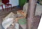 11973:17 - Cheap rural house near the lovely Strandzha Mountain