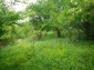 11199:37 - Charming rural house near a big dam lake near Popovo