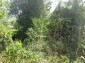 11130:15 - Two cheap properties in an illustrious hilly village near Popovo