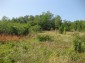 11130:54 - Two cheap properties in an illustrious hilly village near Popovo