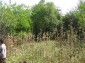 11130:41 - Two cheap properties in an illustrious hilly village near Popovo
