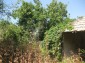 11130:43 - Two cheap properties in an illustrious hilly village near Popovo