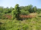 11130:52 - Two cheap properties in an illustrious hilly village near Popovo