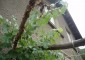 11630:6 - Completed and well presented house near Svoge – lovely panorama