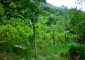 11630:10 - Completed and well presented house near Svoge – lovely panorama