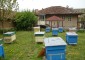 12763:2 - House with big garden in a peaceful place for sale near Opaka