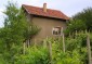 12041:5 - Nice and spacious house near Danube River – scenic surroundings