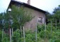 12041:4 - Nice and spacious house near Danube River – scenic surroundings