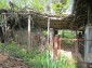 11097:9 - Rural property with plenty of fruit trees near Popovo