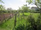 11097:31 - Rural property with plenty of fruit trees near Popovo
