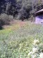 12328:8 - Rural Bulgarian property for sale in Kipilovo village