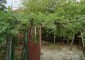 11547:9 - Sunny and charming rural property 25 km from Veliko Turnovo