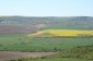 12300:10 - Cheap property for sale with lovely views near Popovo & Ruse
