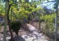 11125:9 - Very well maintained house with a huge garden near Elhovo