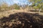 11125:12 - Very well maintained house with a huge garden near Elhovo